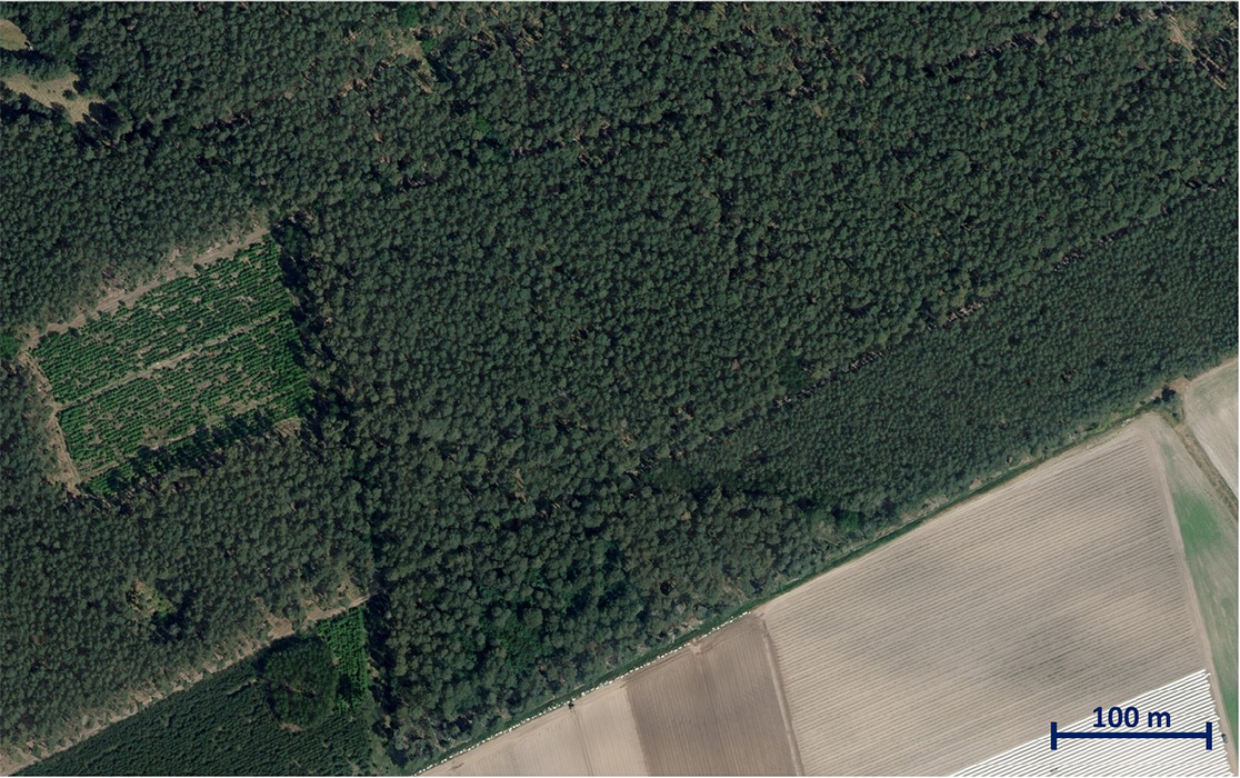 DOP-Aufnahme (2023) © GeoBasis-DE/LVermGeo ST DOP-Aufnahme (2023) © GeoBasis-DE/LVermGeo ST
