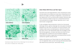 Abb. 2: Mückenatlas, Nachweise einiger West-Nil-Virus-Überträger für den Zeitraum 2012-2025. © GeoBasis-DE / BKG (2022) (https://mueckenatlas.com/unsere-forschung, 02.07.2026) Abb. 2: Mückenatlas, Nachweise einiger West-Nil-Virus-Überträger für den Zeitraum 2012-2025. © GeoBasis-DE / BKG (2022) (https://mueckenatlas.com/unsere-forschung, 02.07.2026)